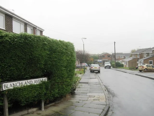 Blanchland Avenue on the Newton Hall estate